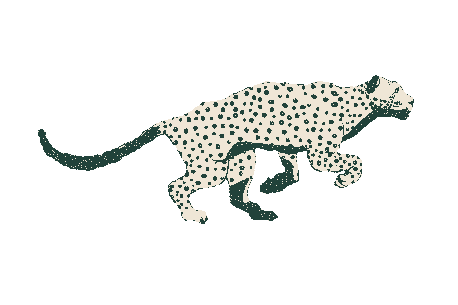 loading animation